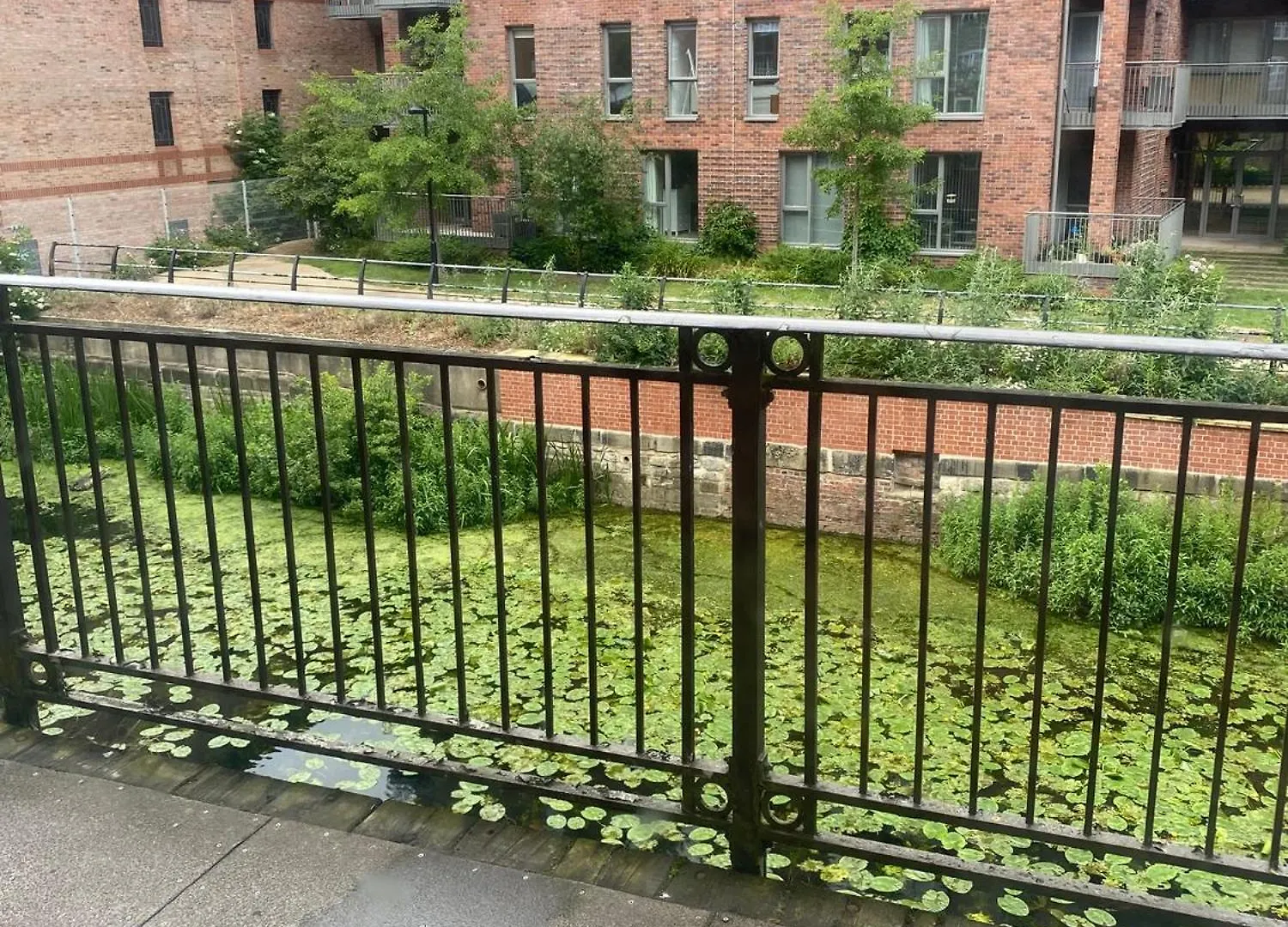 Perfect Apartment In Central York